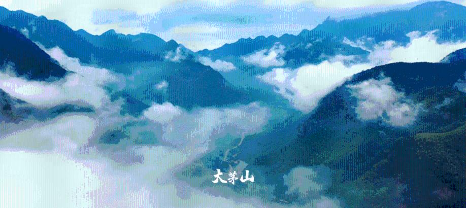 今日上海，是否“繁花”依旧